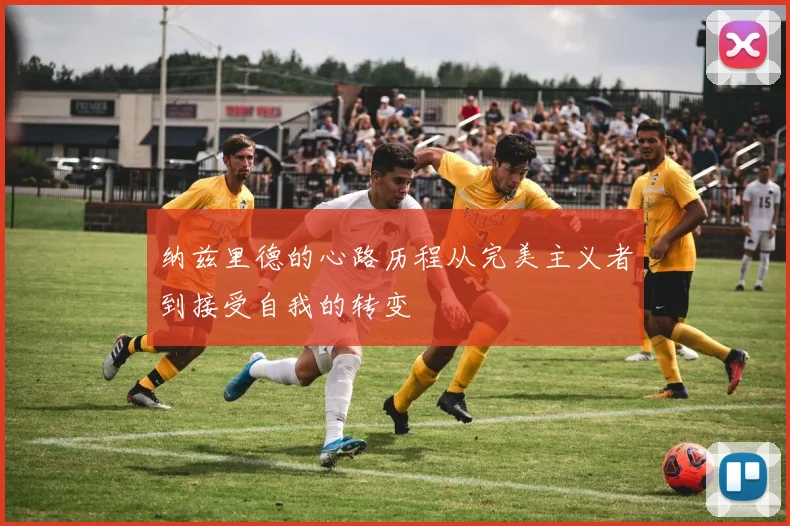 纳兹里德的心路历程从完美主义者到接受自我的转变